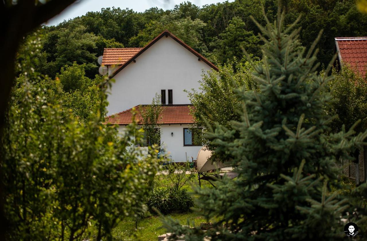 Vilafrancisca10 Alba Iulia Exterior photo